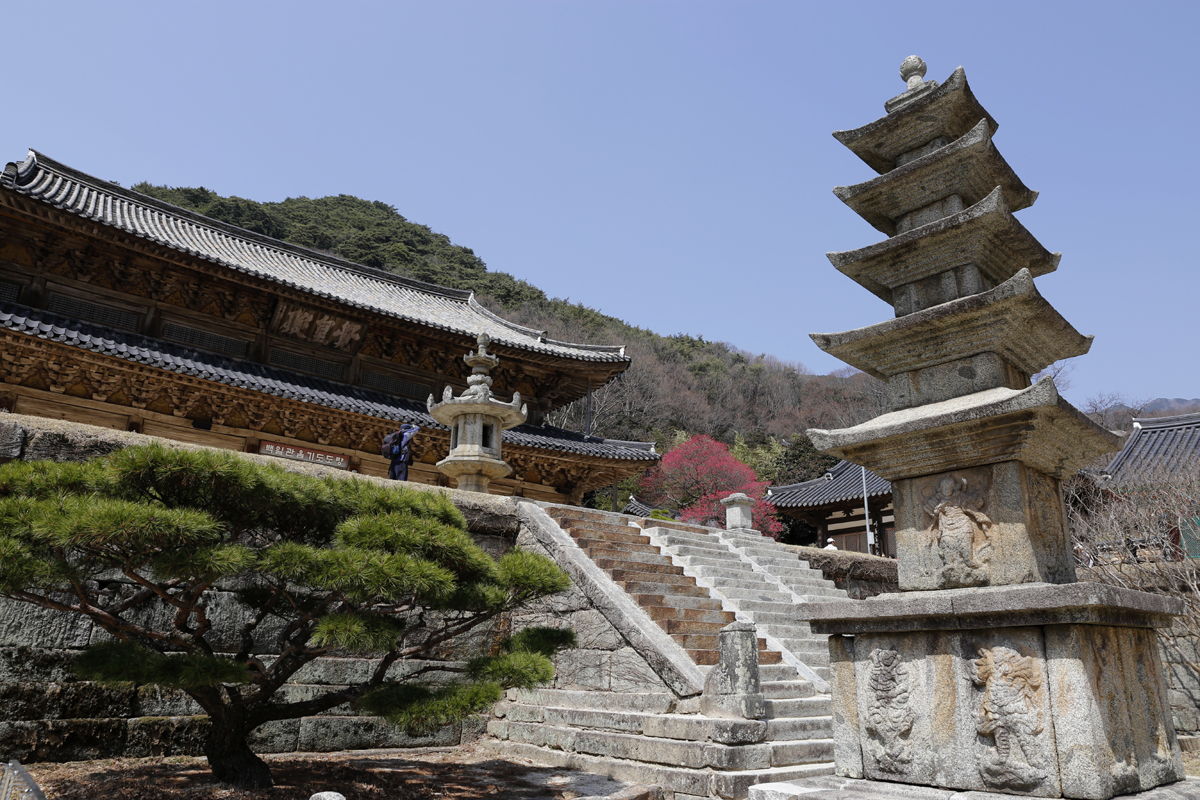  서오층석탑과 어우러진 화엄사 각황전 풍경. 화엄사를 대표하는 풍경이다. 하지만 지금은 활짝 핀 홍매화에 주연 자리를 내주고 있다.