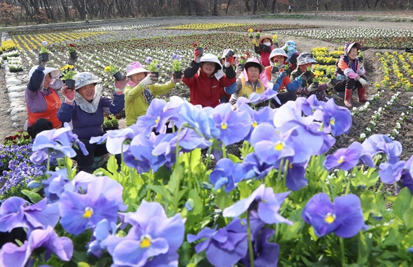  함양 상림공원.