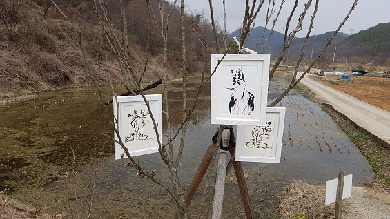 예산군 대술면 궐곡리 황새 번식지 공원에는 박시룡 교수가 직접 그린 황새 그림이 걸렸다. 