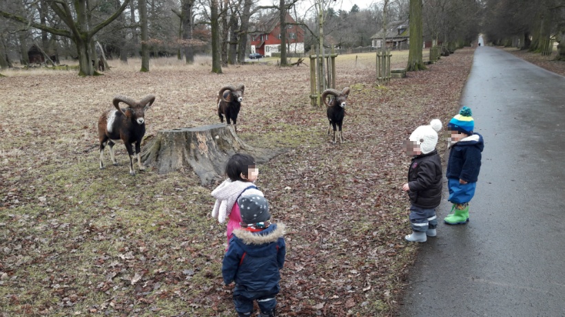 야생동물사육공원에서 아이들과 사슴들