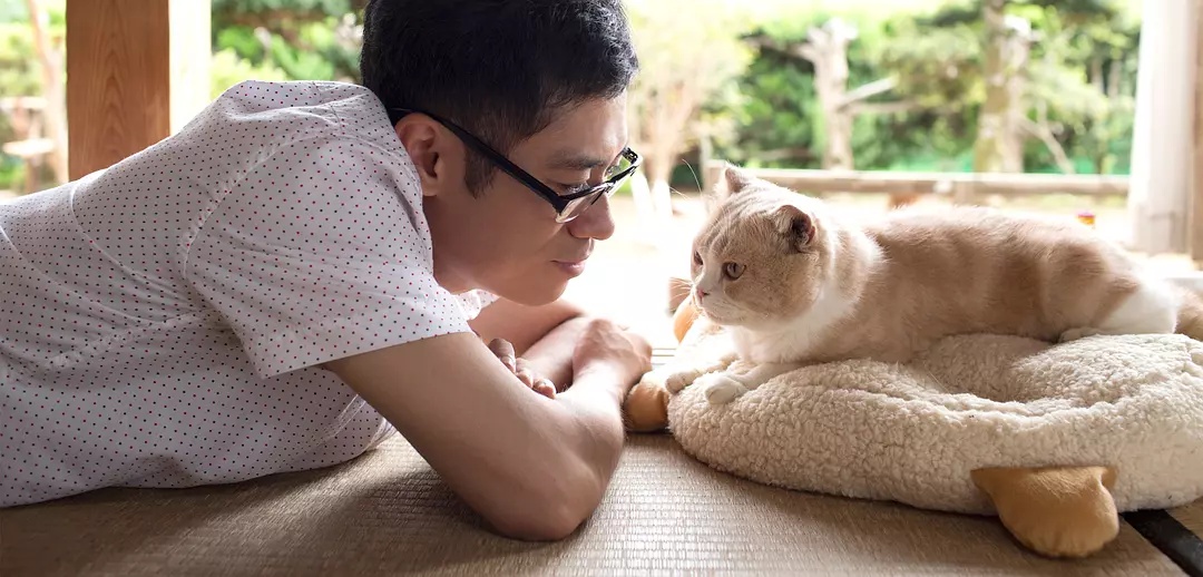 일본 영화 ‘네코 아츠메의 집’ 영화 스틸 이미지. 고양이와 교감하는 주인공 모습.ㅎ