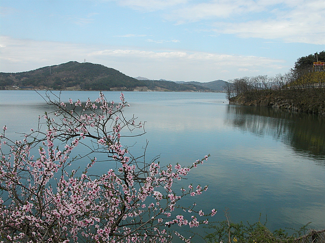 논산저수지 풍경  이 지역민들은 주로 탑정지라 부르는 논산저수지에도 봄이 왔다. 저수지를 따라 드라이브를 해도 좋고, 최근에 조성된 데크길을 걸어보아도 좋다. 