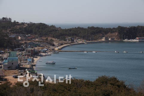 장고항