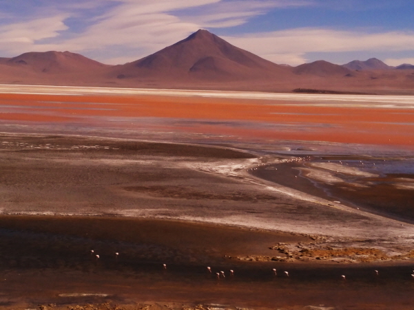 우유니에서 알티플나노 고원지나 칠레국경으로 가던 중에 만난 호수의 풍경이다. 적색의 조류로 인해 아름다운 호수의 빛을 띠고 있었다. 이곳에는 홍학이 살고 있었다.