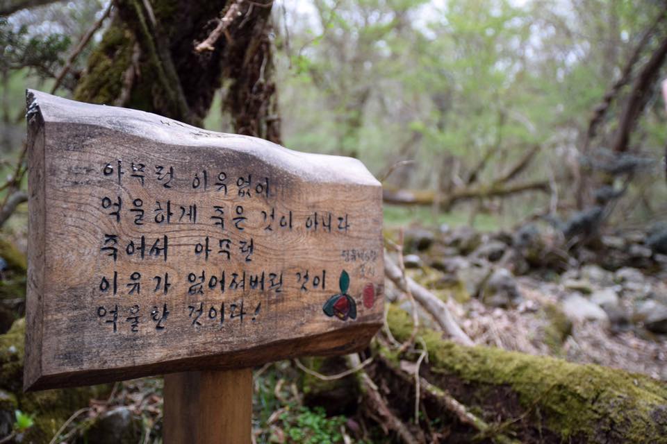 이덕구 산전에 강정평화기행단이 김경훈 시인의 시 '아무런 이유 없이' 의 한 구절을 나무 팻말에 새겨 놓았다. 
