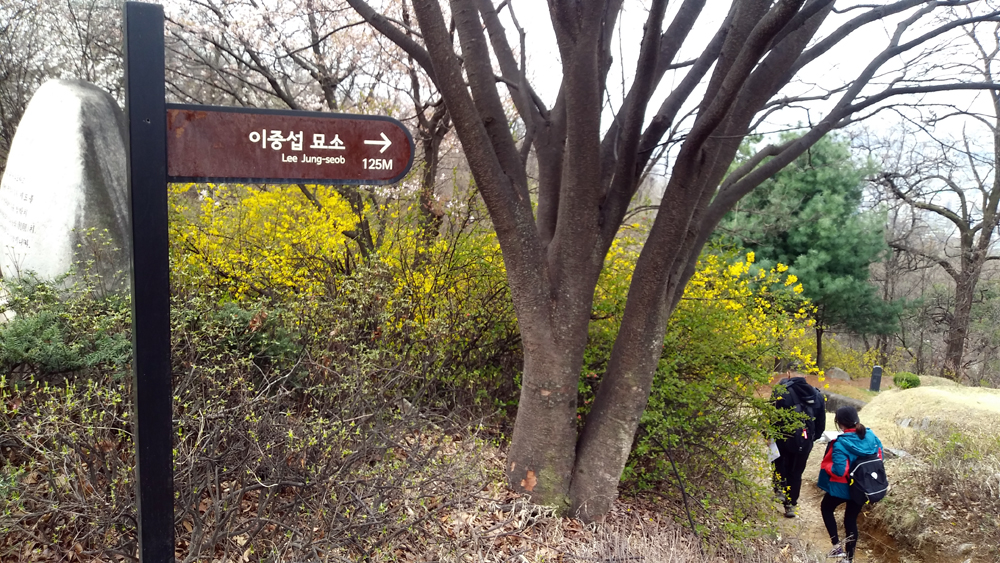 이중섭 묘소 가는 길 문학기행 참가자들이 화가 이중섭 묘소로 가고 있다.