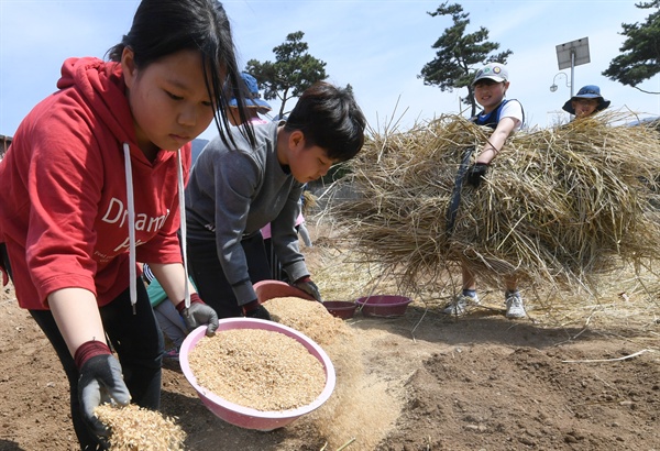 거창 가조초등학교의 텃밭교실 수업.