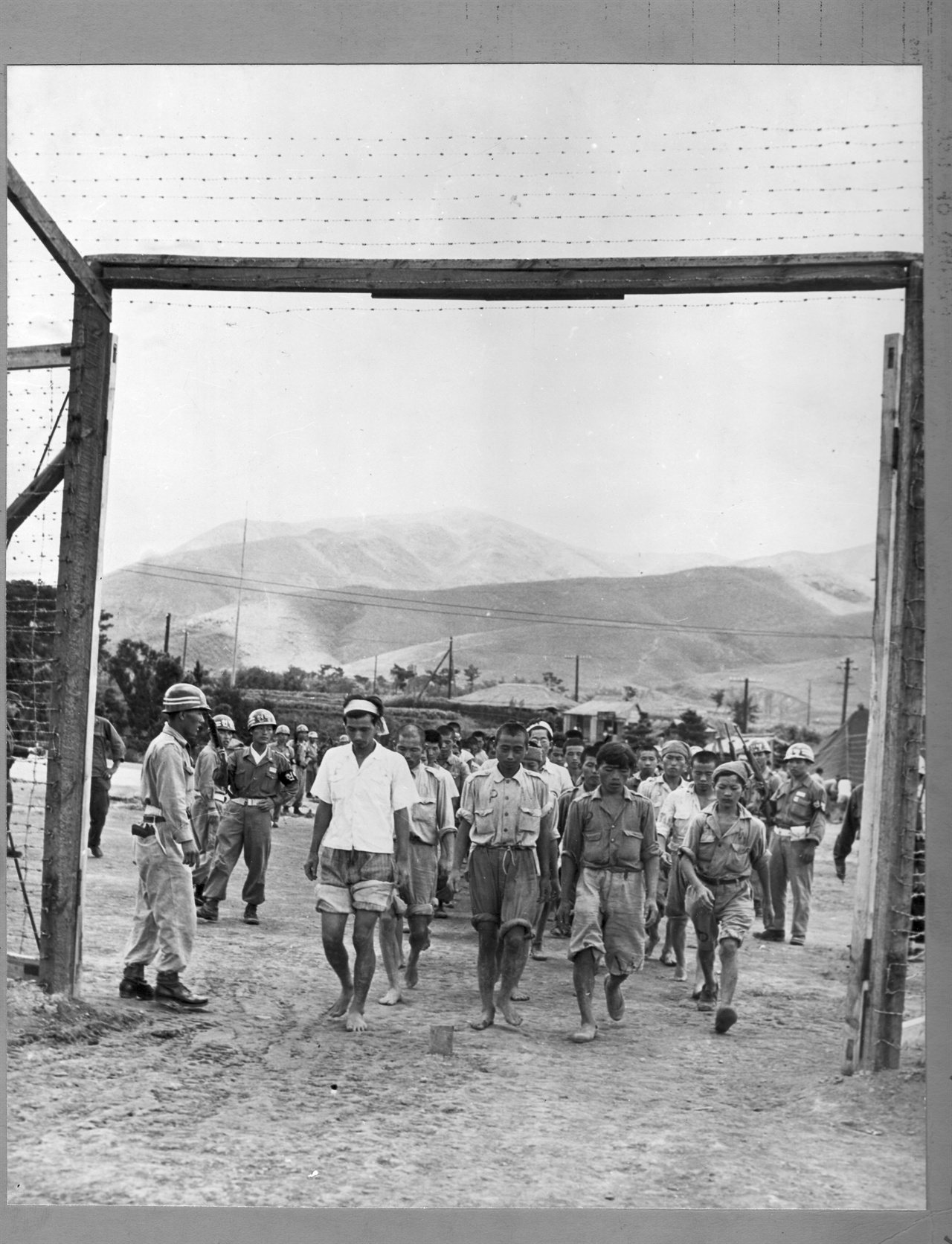1950. 부산포로수용소로 새로 입소하는 포로들.