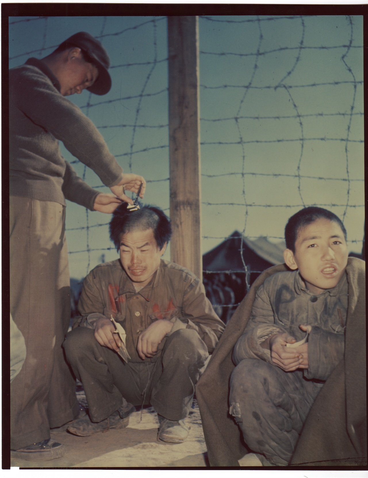 1951. 1. 19.  부산 포로수용소에서 감시병이 포로들의 머리를 깎아주고 있다.
