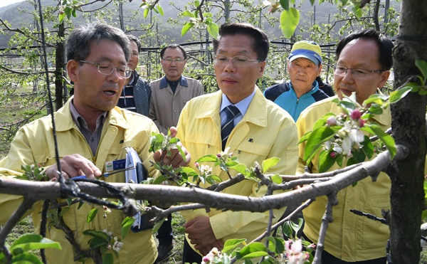 한경호 경남도지사 권한대행은 지난 15일 오후 3시 거창군 주상면 완대리 사과 동해피해 현장을 방문했다.