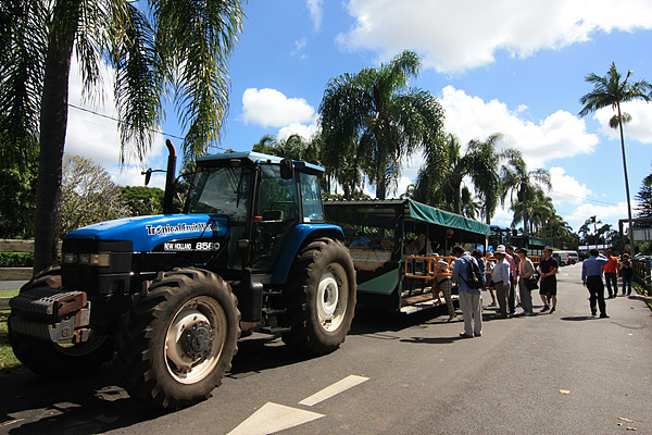 '열대과일세계' 관광용 트랙터 모습. 관광객들은 트랙터를 타고 농장 곳곳을 돌아본다.