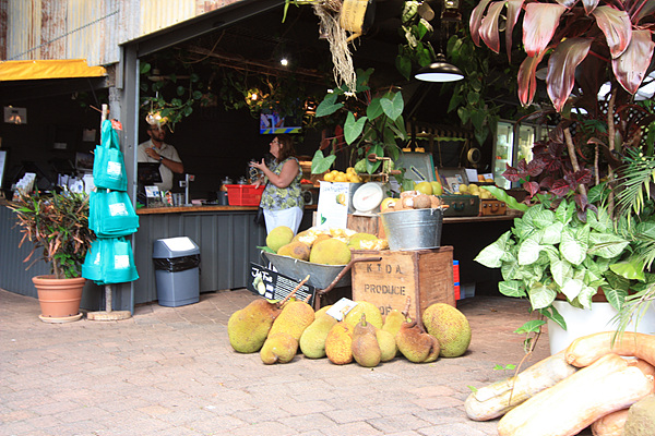 '열대과일세계' 전시장에 진열된 과일들