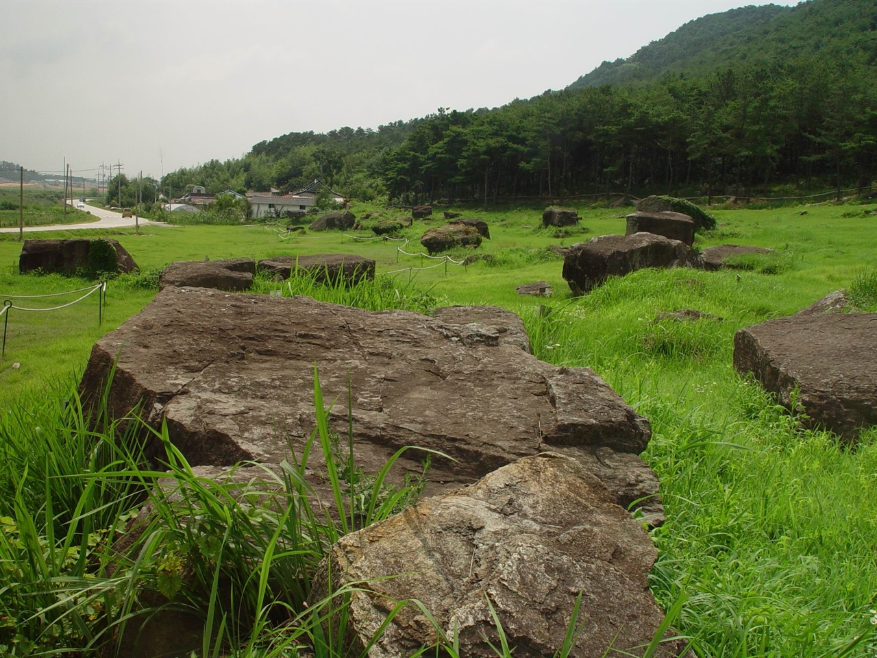 이곳에는 고인돌 무덤이 500기 남짓 모여 있다. 강화군 하점면 부근리 고인돌이나 북한에 있는 아주 큰 탁자식 고인돌이 당시 그 지역의 ‘부족장 무덤’이라면 전라남?북도에서 볼 수 있는 고인돌 무덤 떼는 ‘마을 공동묘지’가 아니었을까 싶다.