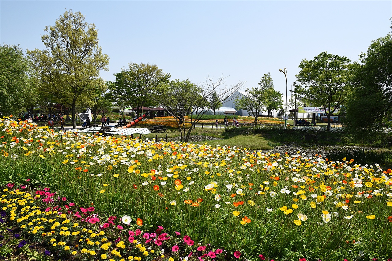 축제장에는 곳곳에 예쁜 꽃밭이 있어 잠시 머물러 사진 찍고 가기 좋다.  
