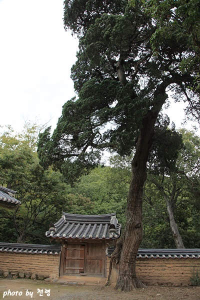 화장실도 담에 붙어 있는데 마당을 침범하지 않고 계곡으로 돌출되어 있다. 