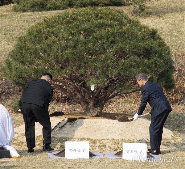2018 남북정상회담이 열린 27일 오후 문재인 대통령과 김정은 국무위원장이 판문점 내에서 기념식수를 했다.