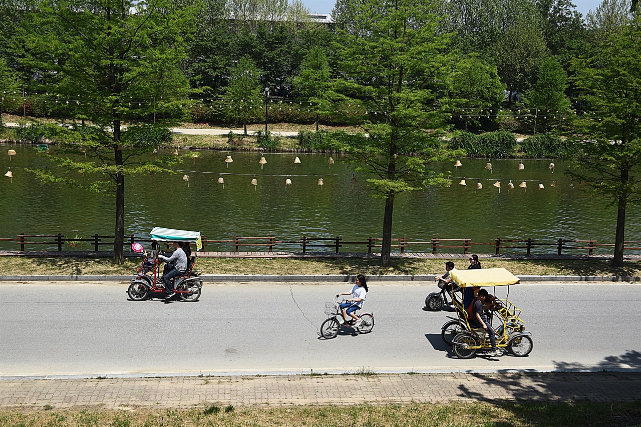 축제 기간에는 담양천을 따라 다양한 종류의 자전거를 타고 즐기는 사람들이 많다. 