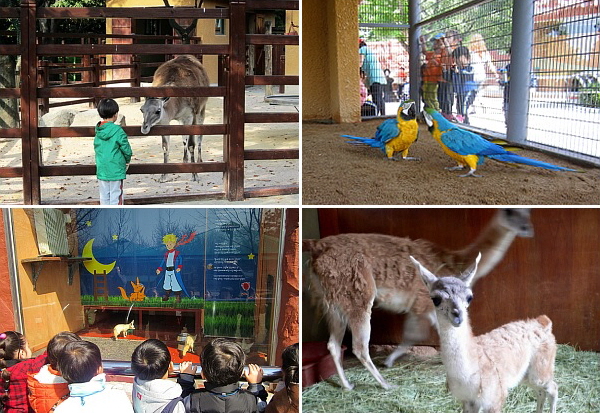 인천대공원 어린이동물원 모습