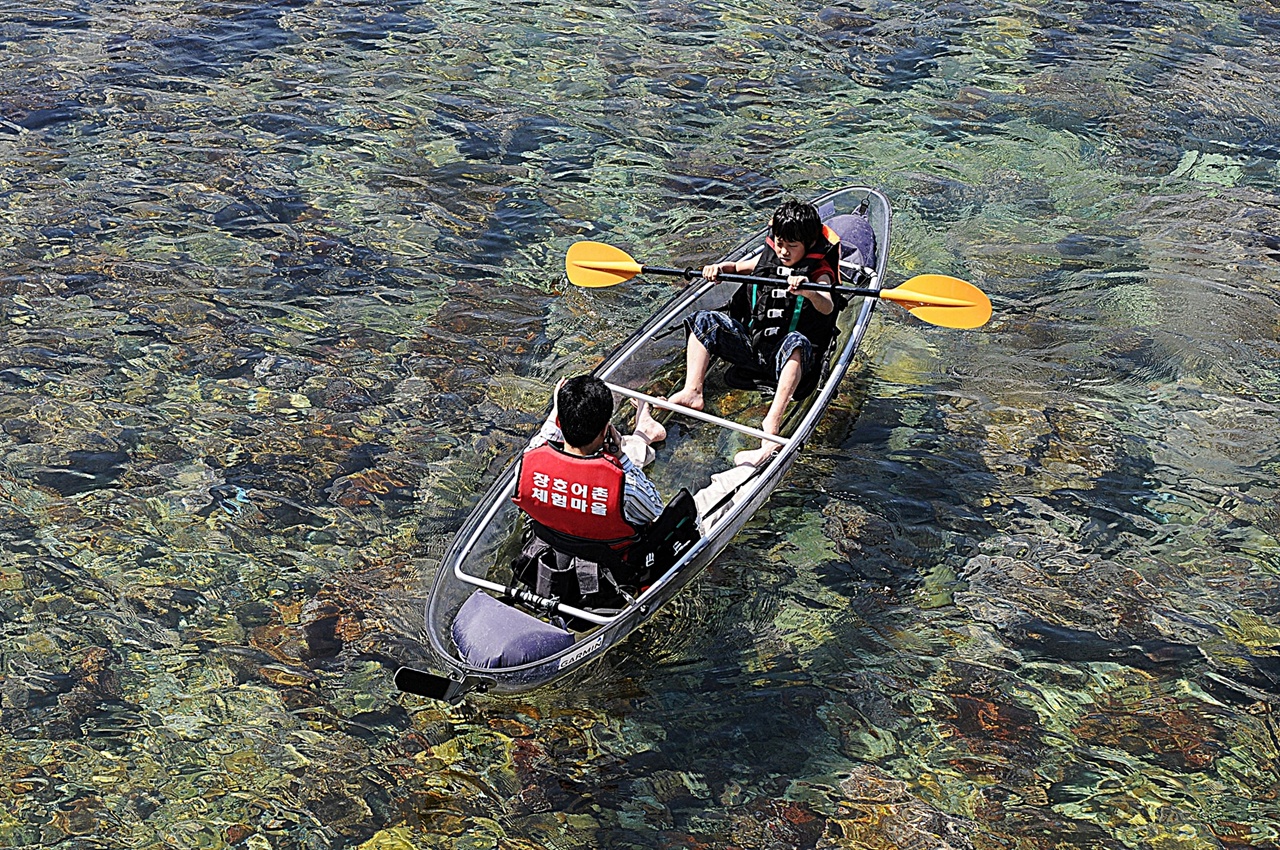 바다 밑바닥까지 훤히 내려다보는 투명 카누 체험은 장호항에서만 즐길 수 있는 특별한 체험이다. 둔대다리 위에서 내려다보고 찍은 사진이다. 