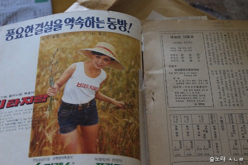 농협에서 펴낸 잡지 <새농민>에 실린 농약 광고. 한국 사회는 여성을 이렇게 다루었다. 1978년 10월.