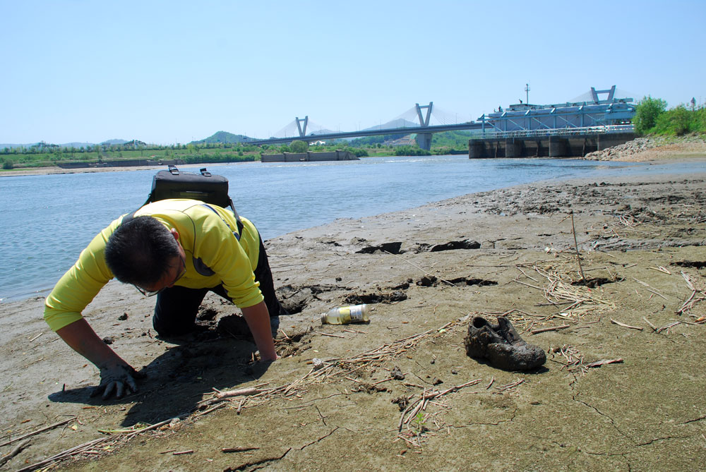 이철재 환경운동연합 생명의 강 부위원장이 세종보 우안 상류 펄밭에 빠져 허우적거리고 있다.