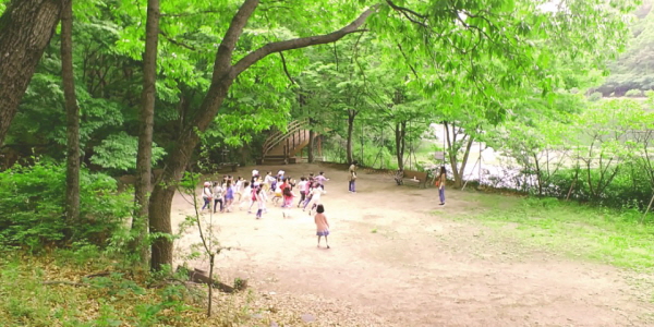 경상남도 함안교육지원청의 '아라얼 스탬프 투어'가 진행되고 있는 가운데 아라초 어린이들의 '숲속 자람학교'가 열려 눈길을 모았다.