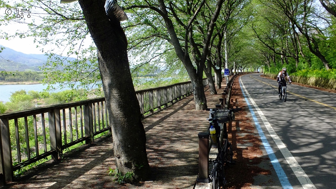 벚나무가 시원한 그늘을 드리워주는 섬진강변길. 