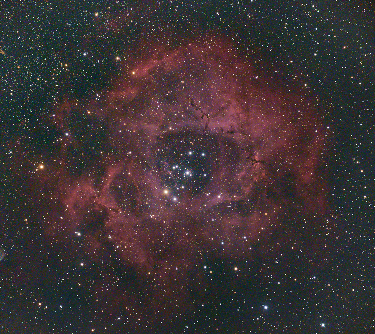붉게 물든 장미성운(NGC2244)이 밤하늘을 화려하게 수놓고 있다. 

<사진정보>
망원경: TSA120mm 굴절망원경, 가대: NYSC 1m망원경, 카메라: Astro 6D, 촬영: 11 x 300sec, 총 관측시간: 55분, 촬영장소: 국립청소년우주센터 덕흥천문대, 관측 및 촬영: 국립청소년우주센터 우주활동부
