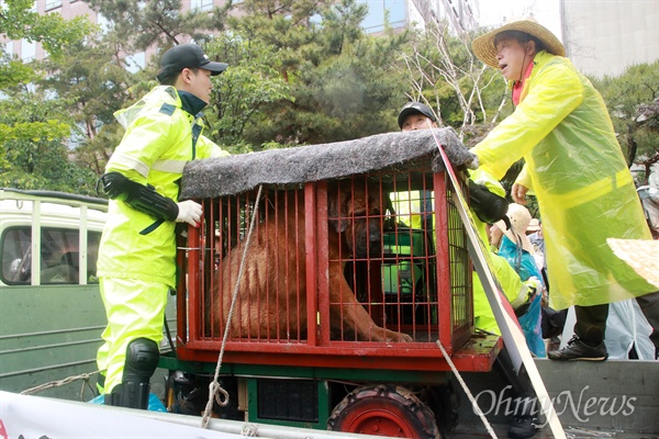 집회에 데리고 온 개 놓고 실랑이 벌이는 농민-경찰 개사육 농민들이 16일 오후 서울 여의도 국회 인근에서 열린 생존권 보장 집회에서 트럭에 싣고 온 개를 옮기려고 하자, 경찰이 이를 저지하고 있다.