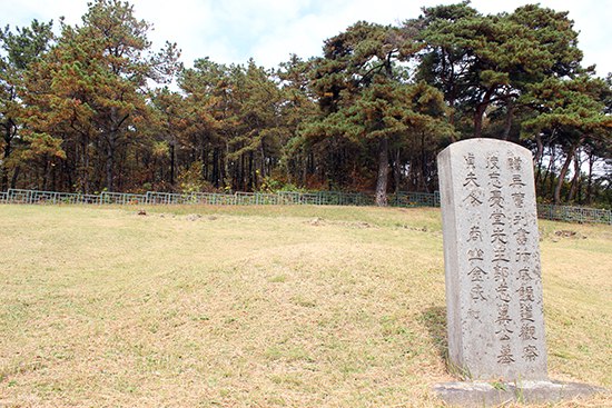봉분이 거의 없는 홍의장군 곽재우 묘소