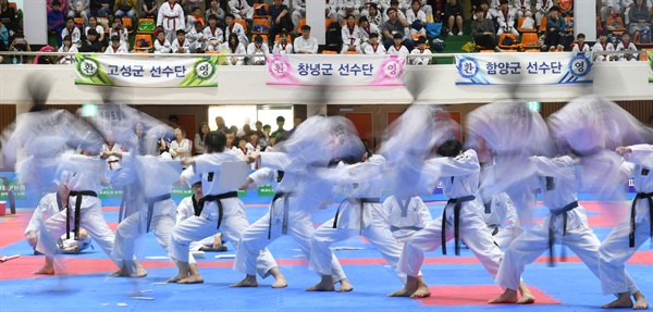 19일 거창읍 실내체육관에서 벌어진 태권도 시범.