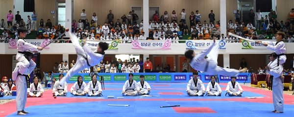  19일 거창읍 실내체육관에서 벌어진 태권도 시범.