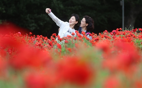 20일 함양 상림공원 경관단지.