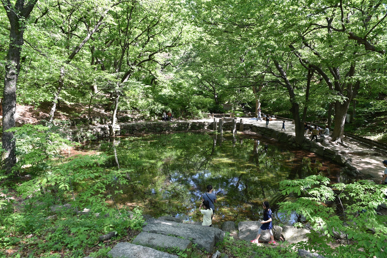 조선시대 별사가 있었던 자리 앞으로는 넓은 연못이 있다. 개구리를 비롯한 다양한 수생 동식물이 살고 있다.