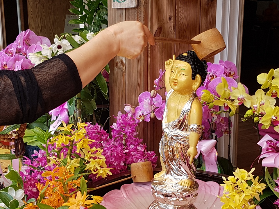 불기 2562년 부처님 오신 날을 맞아 22일 오전 전국의 사찰에서 봉축법요식이 봉행되는 가운데, 홍성의 작은 사찰인 세심사에서도 불자들이 봉축법요식을 열고 부처님 오신 날을 축하했다. 한 불자가 부처님에게 관불의식을 진행하고 있다.
