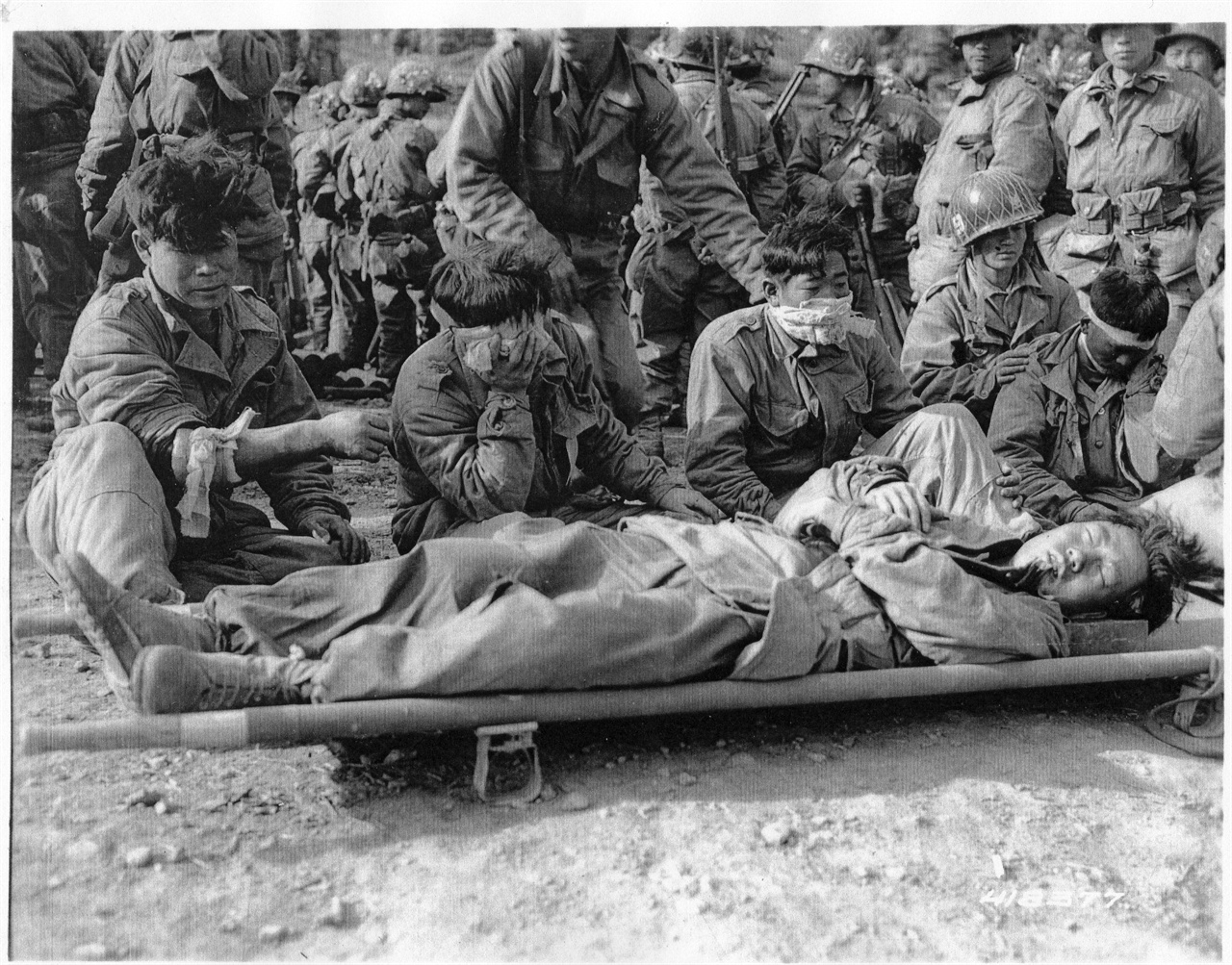 1952. 10. 8. 철원, 백마고지 전투에서 부상당한 국군 
