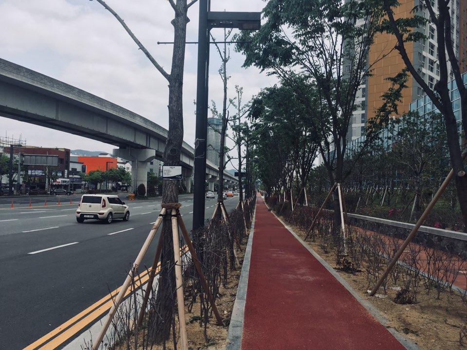김해에서는 유일하게 제대로 만들어진 자전거 전용도로