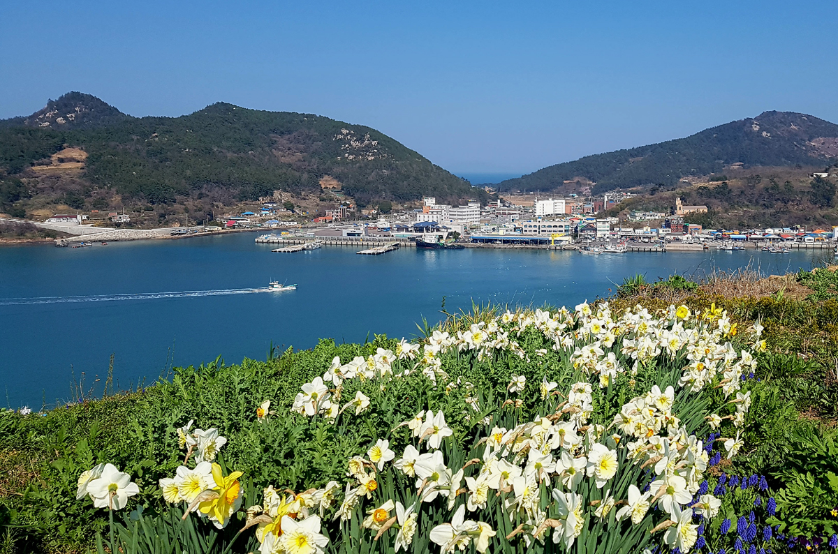  전라남도의 민간정원으로 지정된 고흥 쑥섬(애도) 별정원에서 본 외나로도항 풍경. 별정원은 철따라 아름다운 꽃을 피워 많은 여행객들을 불러들이고 있다.