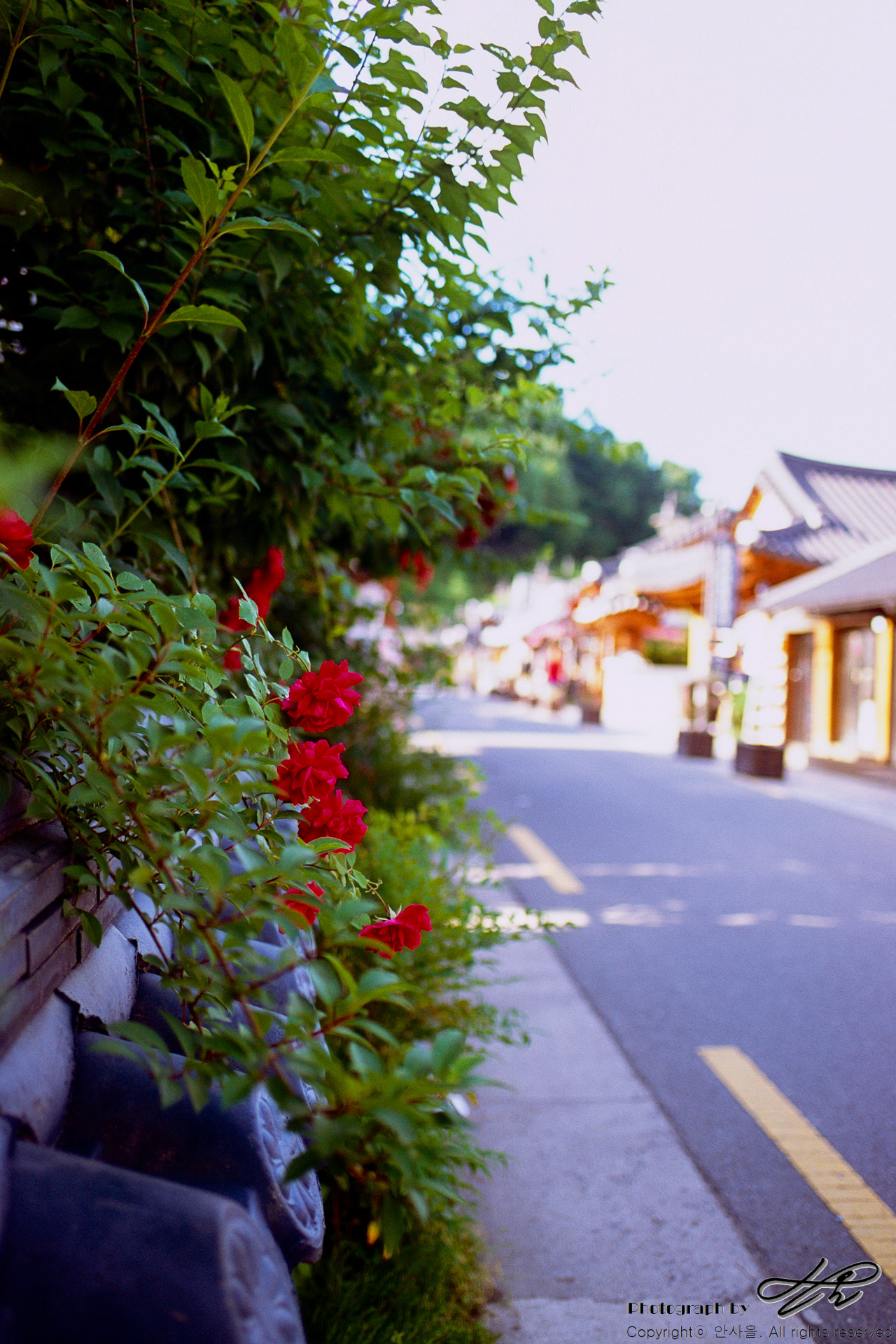 5월의 한옥마을 (Provia100F)전주 한옥마을의 정취를 제대로 느끼려면 사람이 없는 아침 일찍을 택하는 것이 좋다.