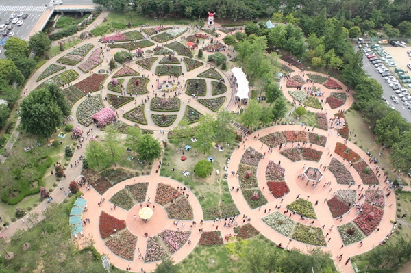창원 장미공원.