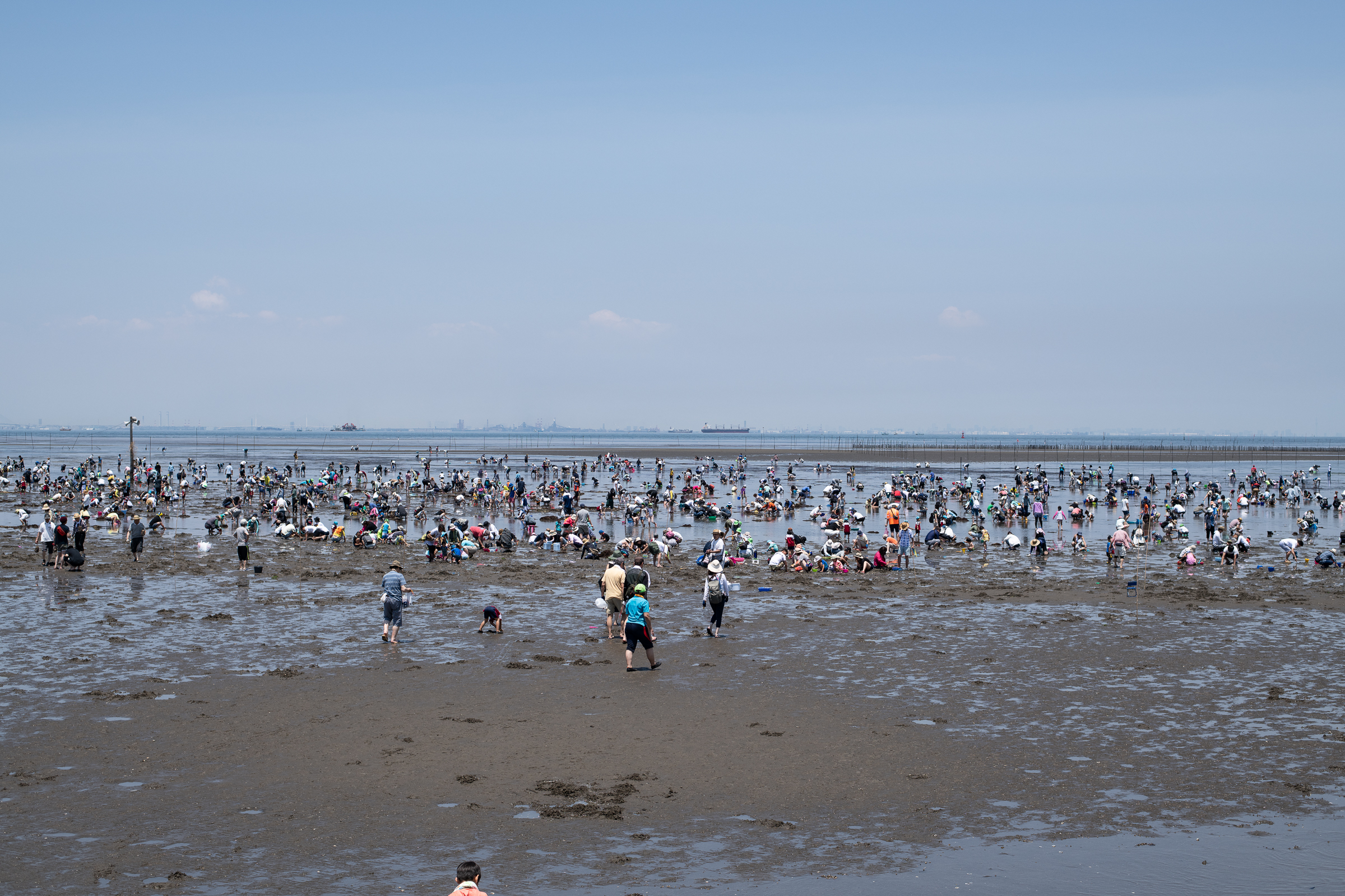 훗쯔해안의 조개캐기 체험장. 수천명의 가족 단위 관광객들이 조개를 캐는 모습이 장관이다.