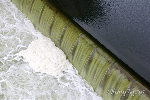 6월 16일 낙동강 창녕함안보에 녹조가 발생해 녹색을 띤 물이 보를 넘쳐 흘러 내리고 있다.