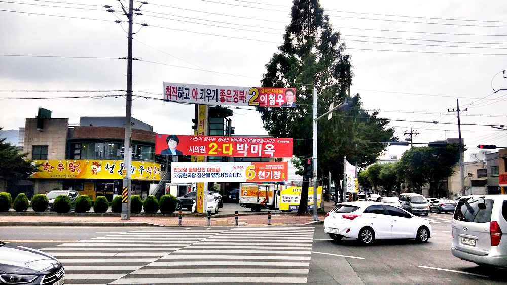 선거운동 기간 무단 벌채에서 간신히 살아남은 가로수. 아무리 말 못하는 미물이지만 이런 생명을 다루는 데서 그 사회의 수준을 알 수가 있다.   