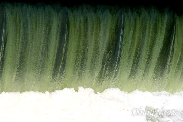 6월 24일 낙동강 창녕함안보에 녹색을 띤 물이 흘러 넘치고 있다. 