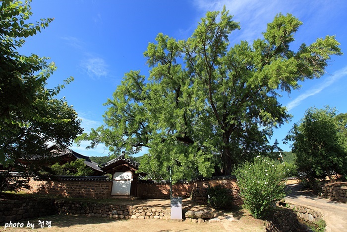 고즈넉한 마을의 한복판에 낮은 담장으로 둘러싸여 있다.