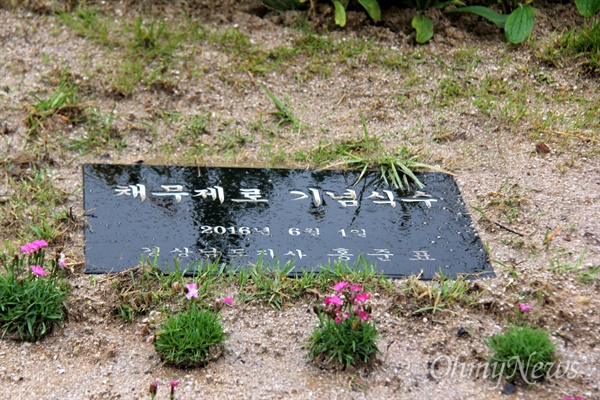 경남도청 정문 화단에 있는 홍준표 전 경남지사의 '채무제로 기념식수' 표지석.