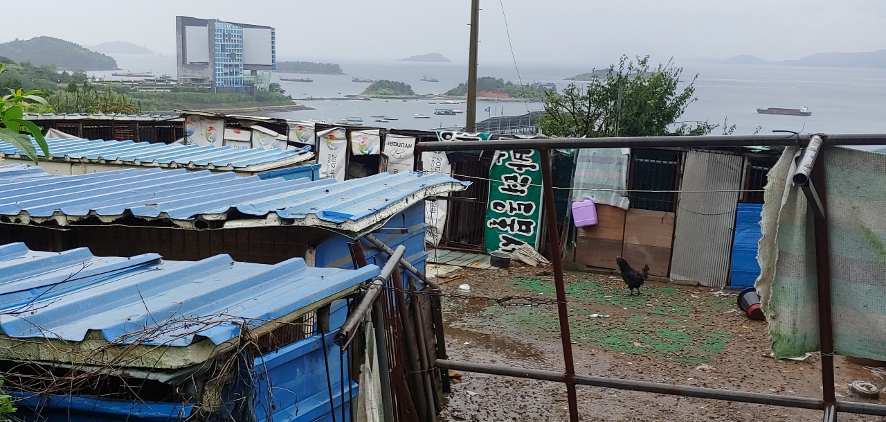 전남 여수에서 애견샵을 운영하는 한 업자가 동물학대를 일삼은 불법 무허가 번식장의 모습