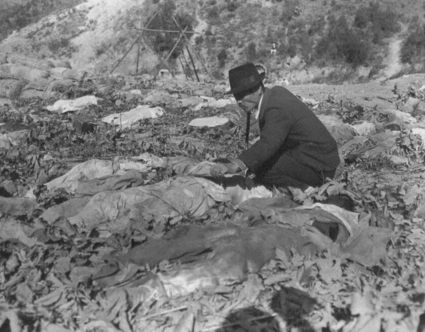 1950. 11. 14. 함흥 덕산 광산, 어느 아버지가 산비탈 밭에 널브러져 있는 400여 구의 시신 가운데서 아들을 찾고 있다.