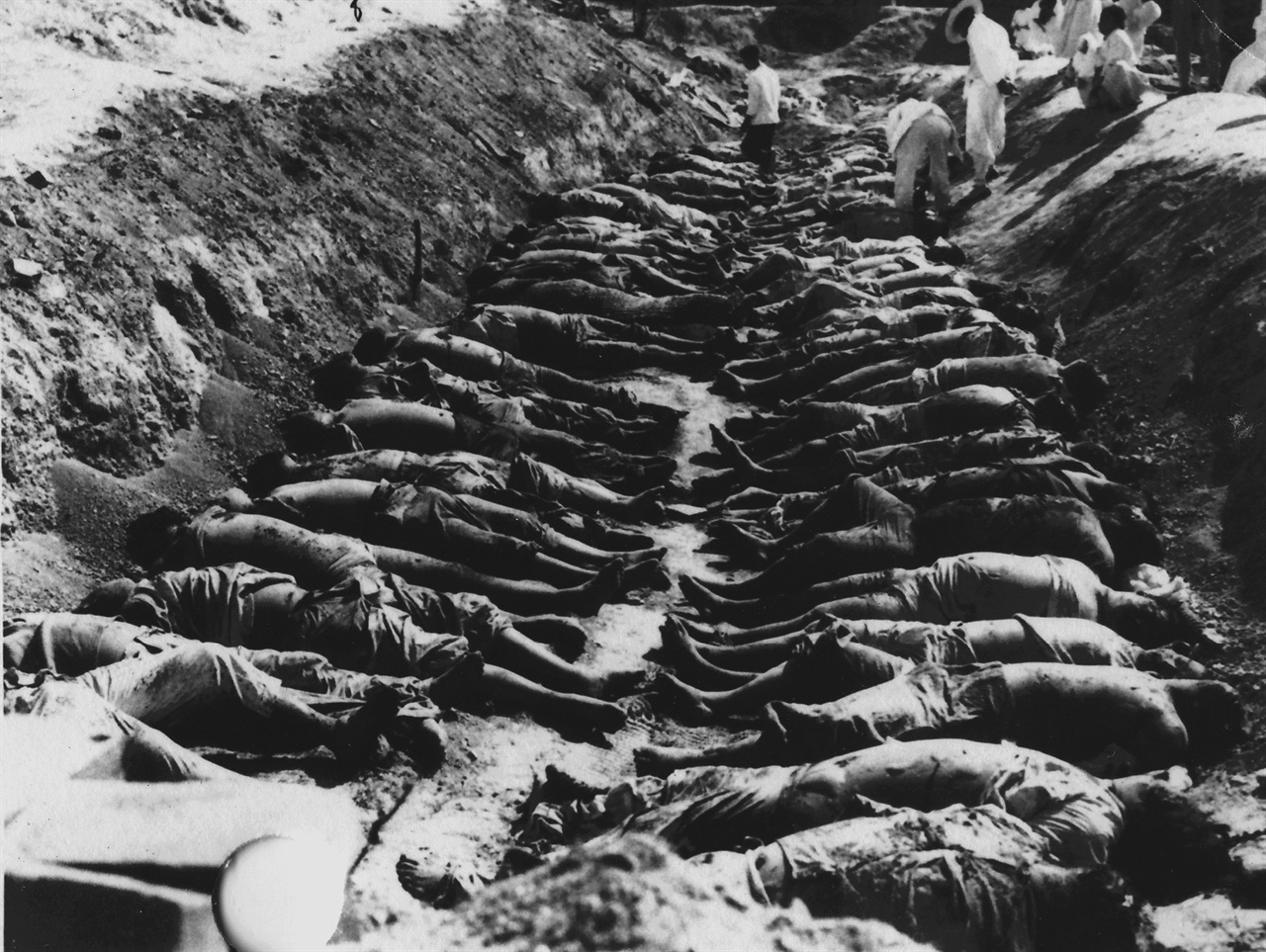1950. 10. 경남 진주, 학살 현장으로 사람을 젓갈 담듯이 가지런히 눕혀 놓았다.