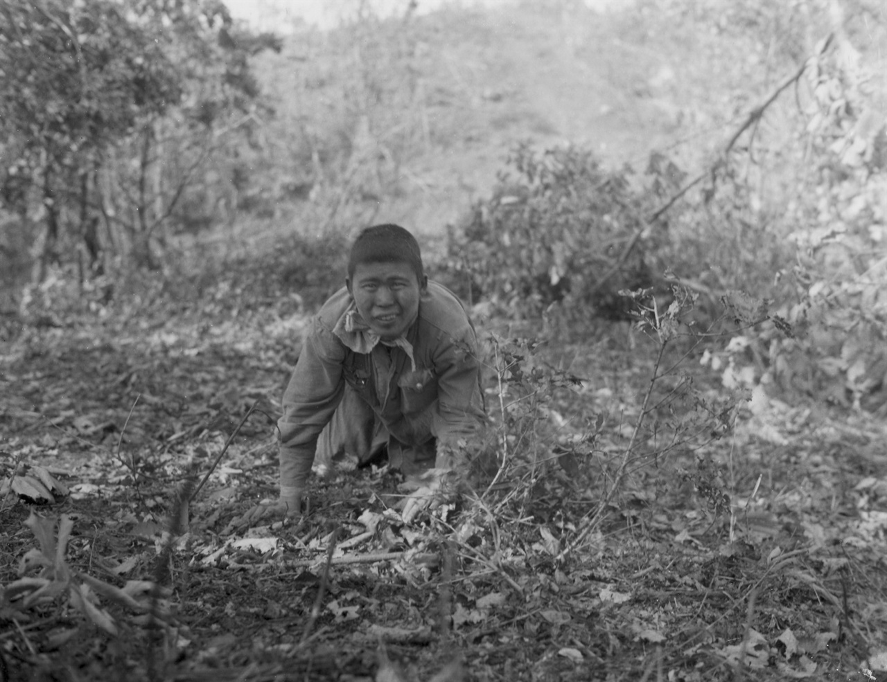1951. 9. 20. 수풀에 숨어 있던 한 인민군 병사가 총구 앞에서 짐승처럼 기어 나오면서 투항하고 있다.